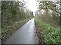 SP9312 : Marshcroft Lane on a damp December day by Rob Farrow