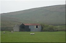  : Beck Head by Ben Gamble