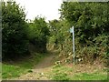 SH5181 : Public Bridleway near Benllech by Keith Williamson