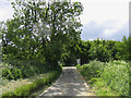 TL5807 : Gang Bridge - near Fyfield by John Winfield