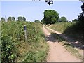 TG3817 : Bridleway, Ludham by Katy Walters