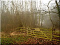 SE2814 : Brickyard Plantation Nature Reserve by Nigel Homer