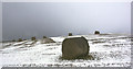 NH7147 : Farmland near Blackhill, Inverness-shire by Claire Pegrum