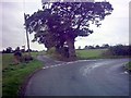 TM3782 : Road Junction of Hall Lane, Gavell Street & Grub Lane by Geographer