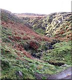  : Stream between Treshnish and Haunn by Rob Farrow