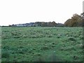  : Across fields to Heath Hill Farm by Jennifer Luther Thomas