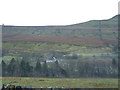  : Mid Mossdale Farms, Mossdale, Wensleydale by Geoff Keeble