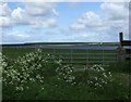  : Loch of Wester by Stanley Howe