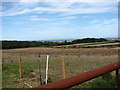 TG1641 : View across fields near Pretty Corner Farm by Evelyn Simak