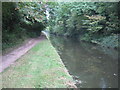 SP9312 : Grand Union Canal near Tring by Nigel Cox