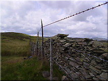  : Potter Fell Fence by Michael Graham