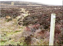  : Track on Mynydd Varteg Fawr by Graham Horn