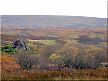  : Split rocks at Braegrudie by sylvia duckworth