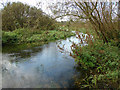  : River Nar west of Castle Acre by Robert Walden