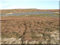  : Moorland below Fendrith Hill by Mike Quinn