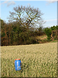  : Feed tub for pheasants by Evelyn Simak