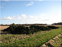  : Looking east towards Wigg's Carr by Evelyn Simak