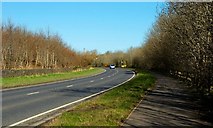  : The Belfast road, near Saintfield by Albert Bridge