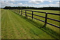 ST8990 : Grazing land near Shipton Moyne by Philip Halling