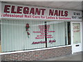 SU7106 : Elegant Nails in the North Street Arcade by Basher Eyre