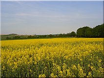  : Farmland, Chattis Hill by Andrew Smith