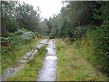  : Forestry track above Eas Urchaidh on River Orchy by Phillip Williams