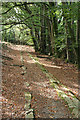 SX7878 : Bovey Tracey: Haytor Tramroad by Martin Bodman