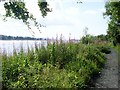 NS4572 : River Clyde waterfront by Stephen Sweeney