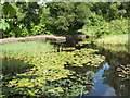 NS5477 : Drowning Pond at Gallow Hill by Lairich Rig