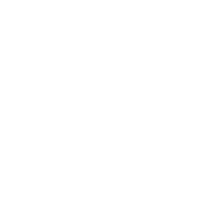 Vividdata