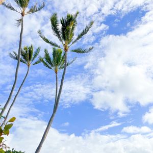 Hunakai Beach on Yelp