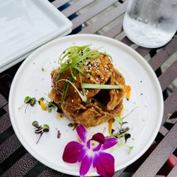 Vegan Jumbo Crispy Gyoza