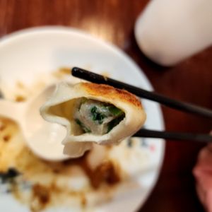 Ju Feng Yuan Dumpling Cafe on Yelp