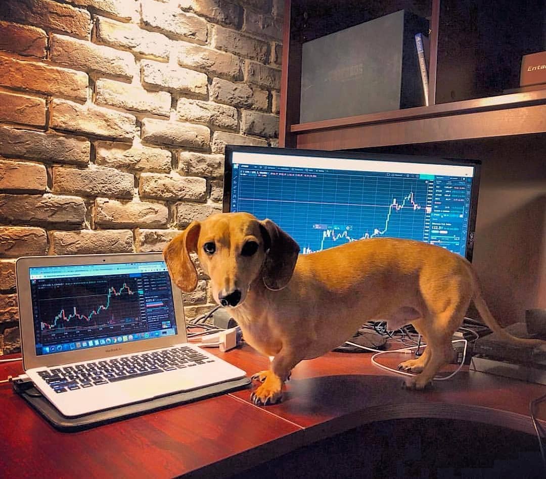 Grafico TradingView su Instagram @mytradingsetup