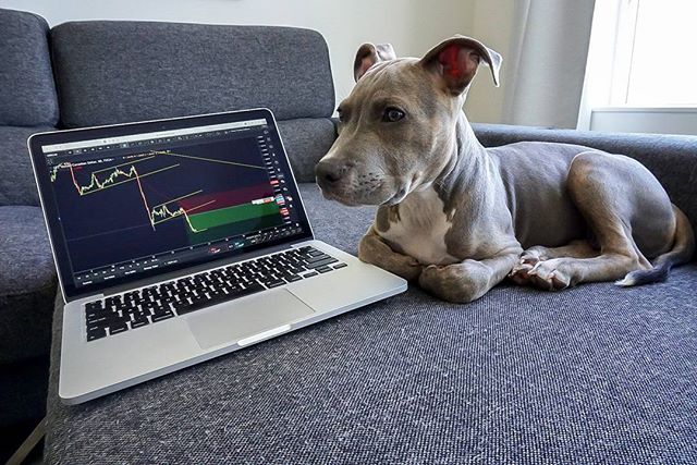 Biểu đồ TradingView trên Instagram @bradfairbridge