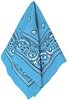 light blue bandana