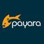 Payara Server