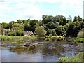 SK4127 : Kings Mills from the north bank of the River Trent by Malcolm Reeve