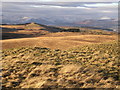 NS5181 : Summit of Quinlochmore by Chris Upson