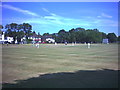 TQ2768 : Cricket on The Cricket Green, Mitcham. by Noel Foster