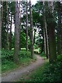 NZ1746 : Malton Picnic Area by Mick Garratt