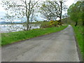 NH5949 : Road by Beauly Firth by Dave Fergusson