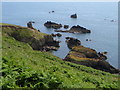 SX8848 : Combe Rocks & Western Combe Cove by Derek Harper