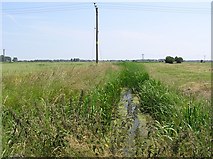  : Hundred Dyke or Stream by Katy Walters