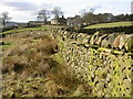 SE0951 : Dry Stone Wall at Langbar by Derek Parkinson