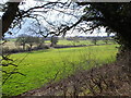 SP0563 : Countryside and fields just off the A448 near Studley by peter lloyd