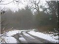  : Track leading to Eshott Birnie through Tank Plantation by Les Hull