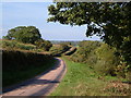  : Lane past Crow Moor by Derek Harper