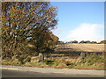 SE2814 : Edge of ploughed field off Denby Dale Road, West Bretton CP by Humphrey Bolton