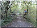 SN6213 : Derelict Bridge over Loughor by Hywel Williams